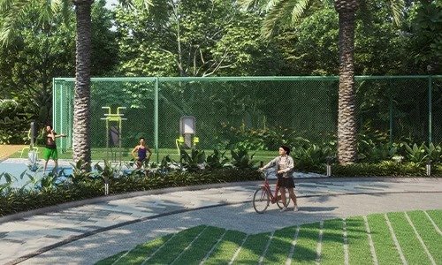 basketball-court-img